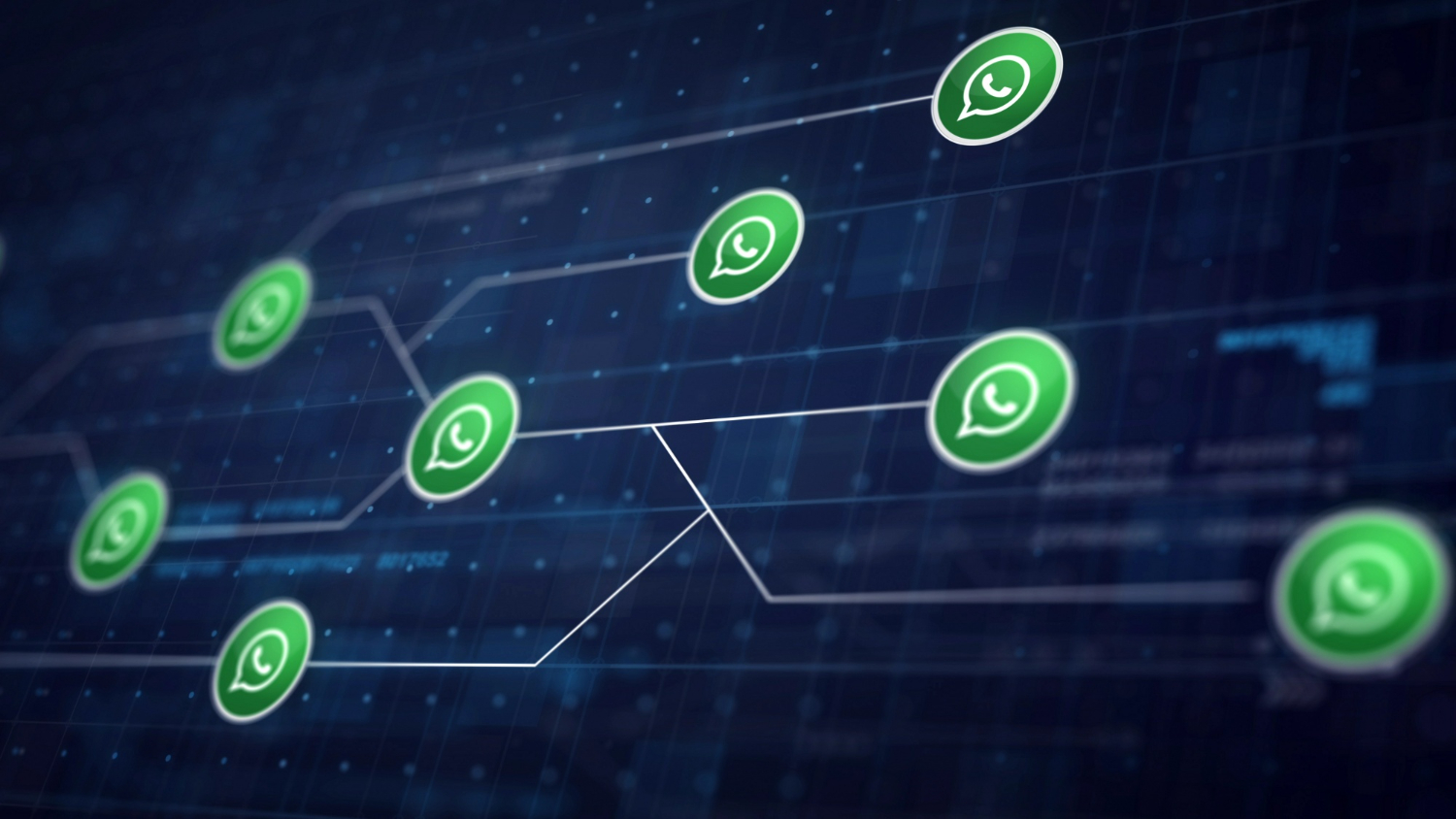 Como escolher a plataforma de WhatsApp ideal para o seu negócio